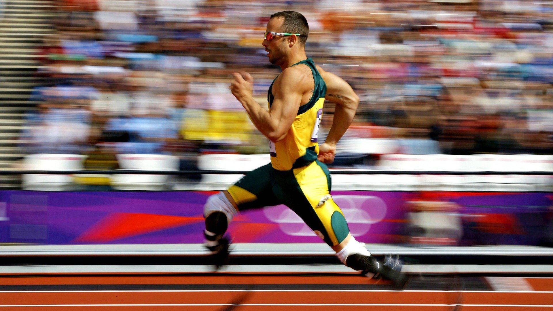 波兰队未来展望：通过培养多元化人才，提升整体实力，波兰队的